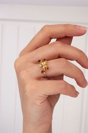 ROBERTO BRAVO Nuh'un Gemisi Yüzük