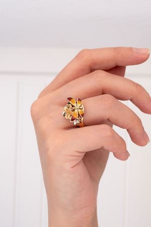 Nuh'un Gemisi Yüzük