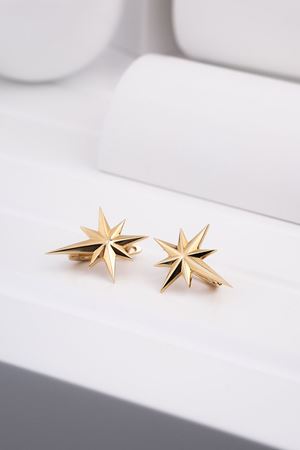 14 Ayar Sarı Altın Kutup Yıldızı Küpe