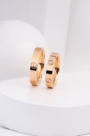 14 Ayar Rose Altın Tasarım Kadın Alyans