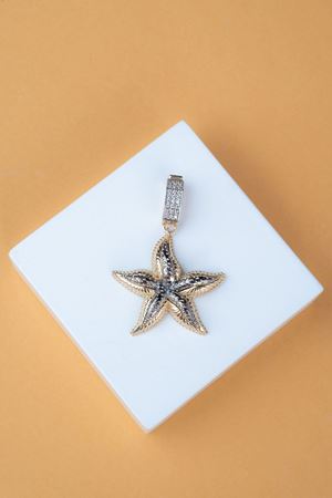 X Çağla14 Ayar Deniz Yıldızı Charm Kolye Ucu