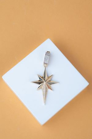X Çağla 14 Ayar Kutup Yıldızı Charm 