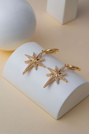 14 Ayar Altın Kutup Yıldızı Sallamalı Küpe