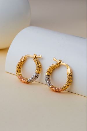 14 Ayar Üç Renkli Altın Toplu 2 Sıra Halka Küpe