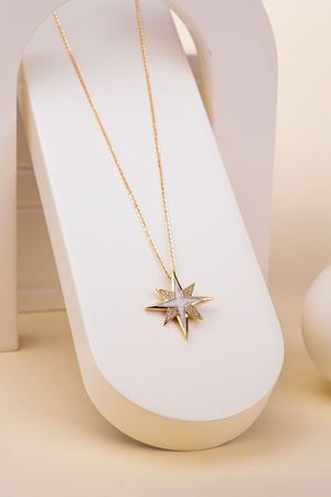 14 Ayar Altın Jazibee Koleksiyon Kutup Yıldızı Kolye