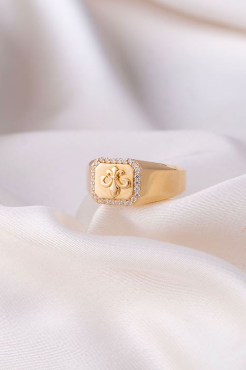 14 Ayar Altın Şövalye Model Yüzük