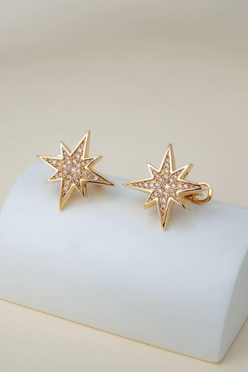 14 Ayar Altın Cetaş Polaris Küpe